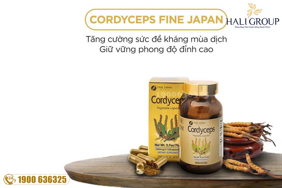 Viên Đông Trùng Hạ Thảo Cordyceps Fine Japan - thực phẩm "vàng" cho người bị suy nhược cơ thể