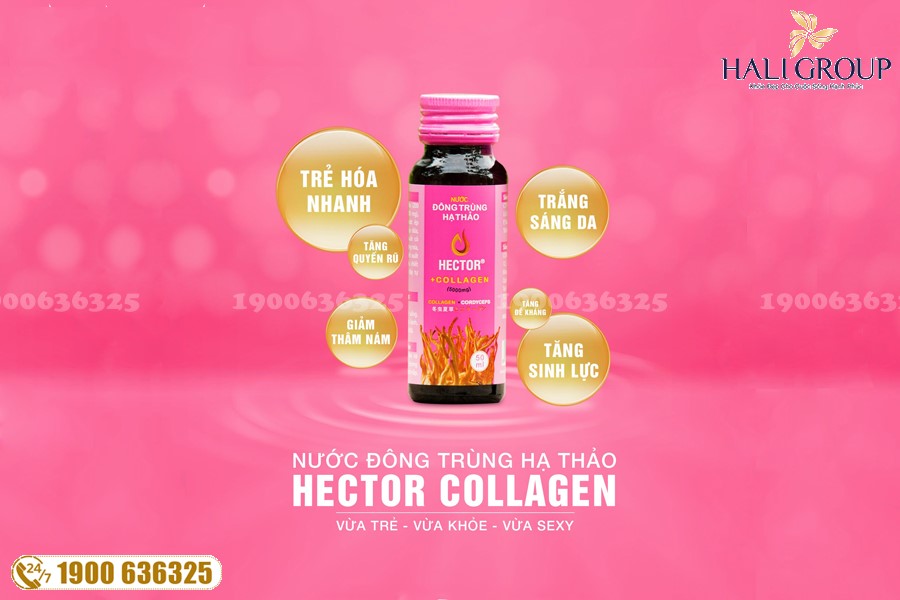 Nước Đông Trùng Hạ Thảo Hector Collagen - sản phẩm "vàng" cho sức khỏe của bạn