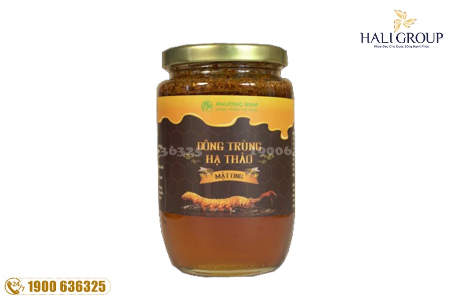 Phân tích về ưu điểm và nhược điểm của đông trùng hạ thảo ngâm mật ong so với các dạng đông trùng hạ thảo khác