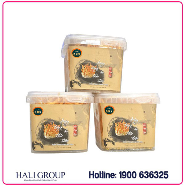 Review về Đông trùng hạ thảo tươi Kim Cương Vàng Tiến Luật cho người tiêu dùng sau một thời gian dùng sản phẩm